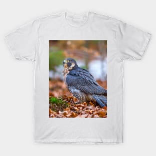 Peregrine Falcon T-Shirt